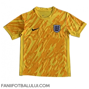 Anglia Portarii Tricou Fotbal Replică European 2024 Barbati Deplasare